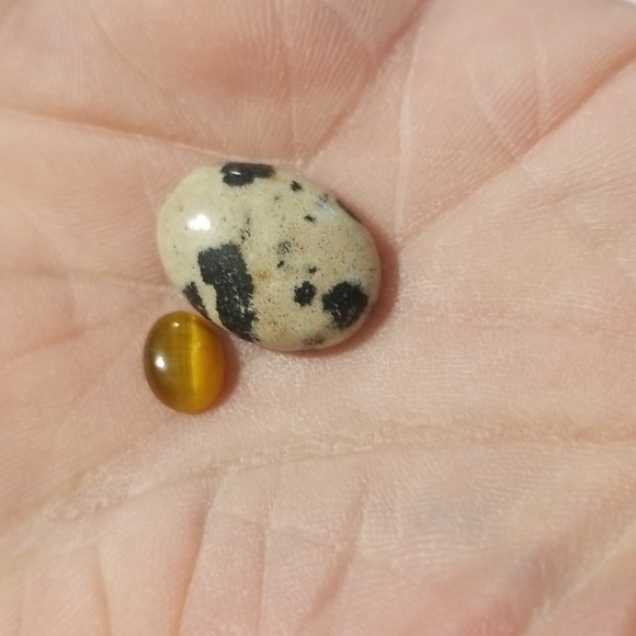 TIGER EYE & DALMATION JASPER, 7 X 5mm & 18 x 13mm Cabochons - Picture 6 of 7